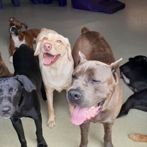 Fundraising Page: Christina Holtz